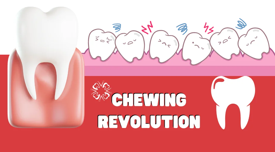 Exploring How Molars Impact Digestion