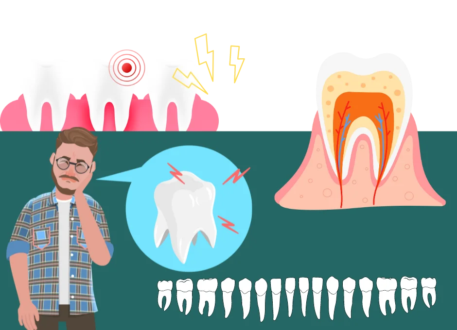 The-Link-Between-Premolars-and-Jaw-Pain