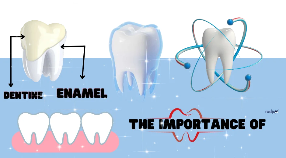 The Importance Enamel